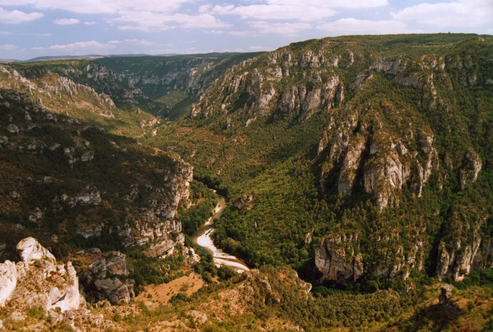 Les gorges du Tarn