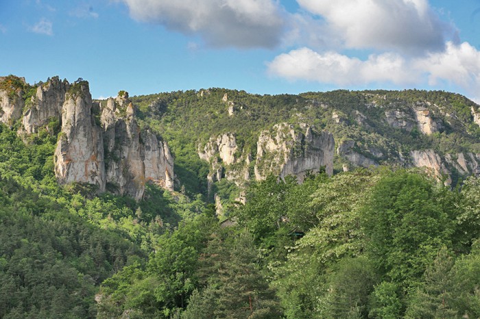 Alentours du pont de Millau