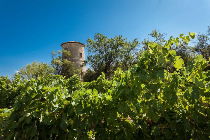 Château Pech-Céleyran